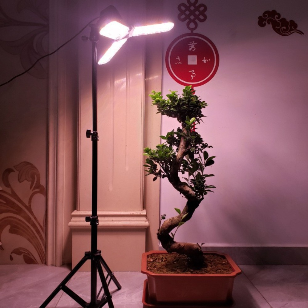 حامل لمبة الضوء 2 متر، مقبس تي - مراجعة Stand Lighting Photography وسعره