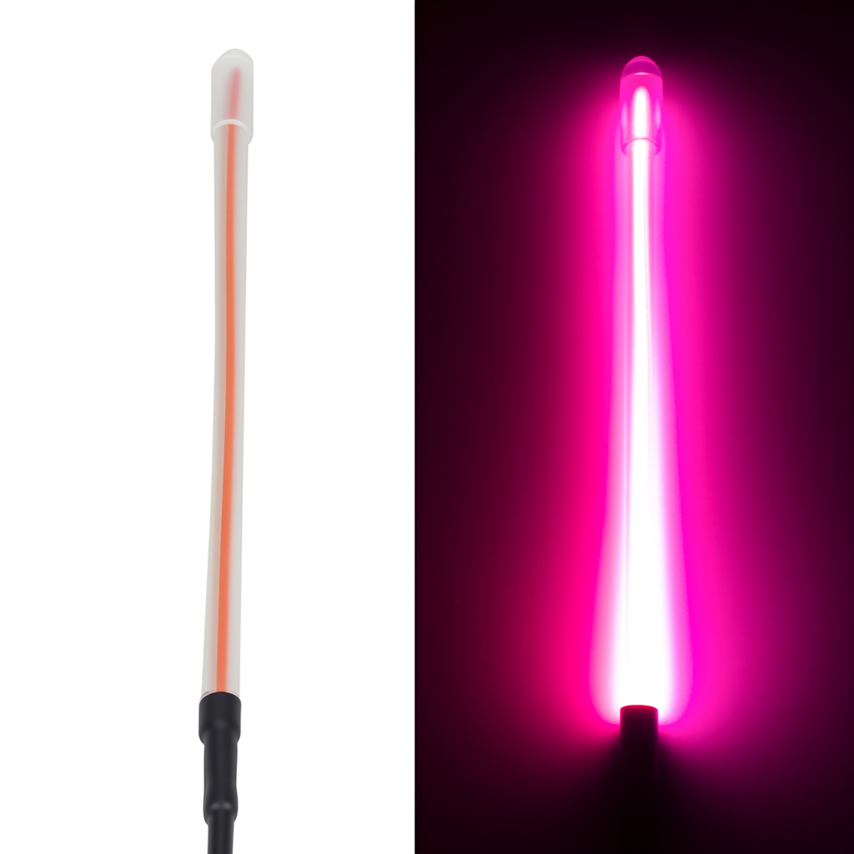 أضواء خلفية LED، كشاف ليلي، إض - مراجعة Macro Photography Lighting Kit وسعره